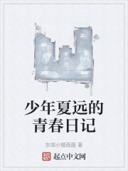 少年夏远的青春日记