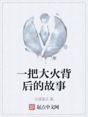 一把大火背后的故事