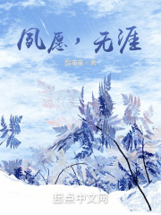 夙愿，无涯