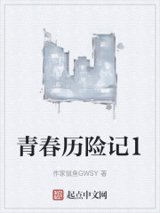 青春历险记1