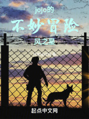 jojo的不妙冒险风之星
