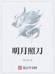 明月照刀