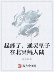 起峰了，通灵皇子在北冥鲲大陆