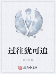 过往犹可追