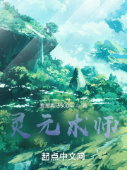 灵元术师