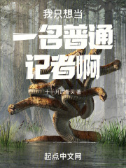 我只想当一名普通记者啊