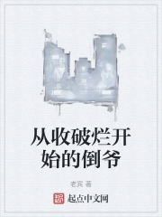 从收破烂开始的倒爷