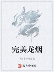 完美龙烟