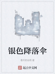 银色降落伞