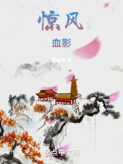 惊风血影