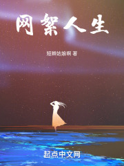 网絮人生