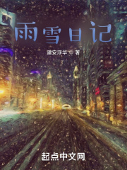 雨雪日记