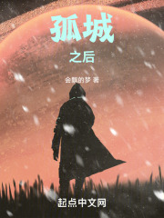 孤城之后