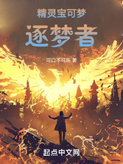 精灵宝可梦：逐梦者