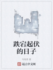 跌宕起伏的日子