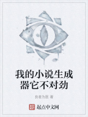我的小说生成器它不对劲