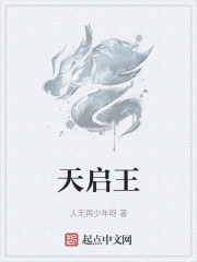 天启王