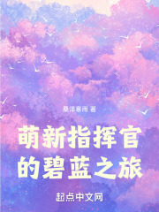 萌新指挥官的碧蓝之旅