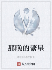 那晚的繁星