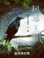 风暴王朝