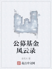 公募基金风云录
