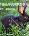 你是兔子请来的救兵吗