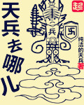 天兵去哪儿