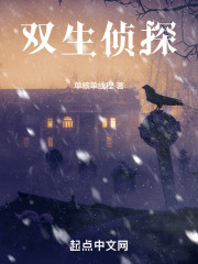 双生侦探