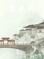 窥天阙