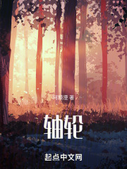 轴轮