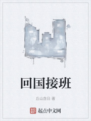 回国接班