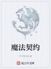 魔法契约