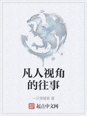 凡人视角的往事