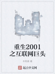 重生2001之互联网巨头