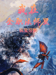 我在全职法师里玩宝可梦
