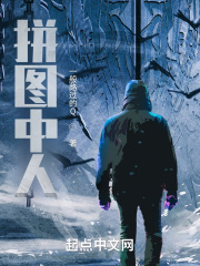 拼图中人