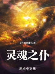 灵魂之仆