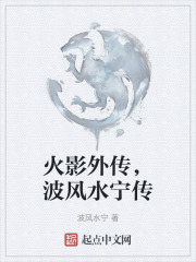 火影外传，波风水宁传