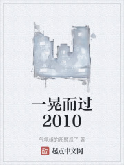 一晃而过2010
