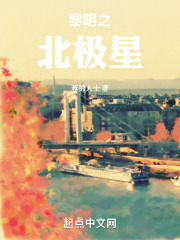 黎明之北极星