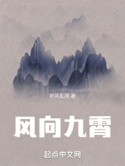 风向九霄