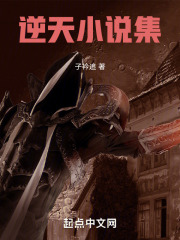 逆天小说集