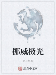 挪威极光