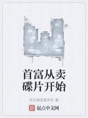 首富从卖碟片开始