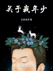 关于我年少