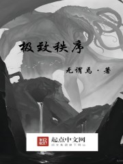 极致秩序