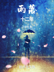 雨落十二年