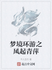 梦境环游之风起青萍