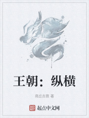 王朝：纵横