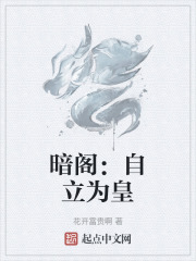 暗阁：自立为皇